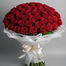 Букет 101 Красная роза Блэк Мэджик в Лещаном