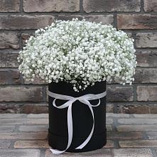 Цветочная композиция из Гипсофила в шляпной коробке в Лещаном