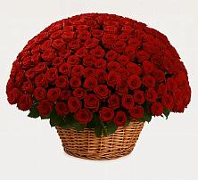 Премиум букет из: Розы в Лещаном